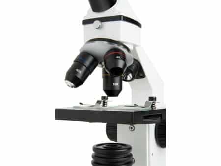 Microscopio LABS CM800
