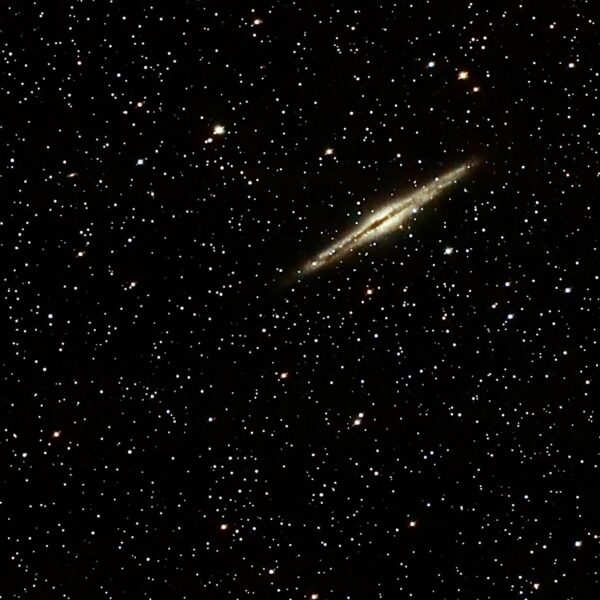 NGC891 - 10 minuti di posa - Centro di Milano