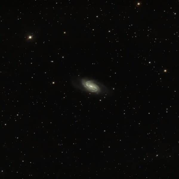 NGC2903 - 10 minuti di posa - Centro di Milano